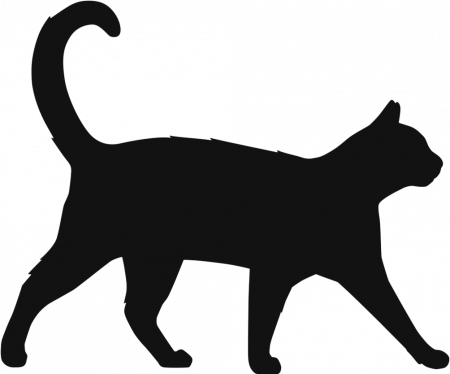 Services - Black Cat Security Partners